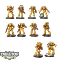 Imperial Fists - 10x Intercessor Squad - bemalt