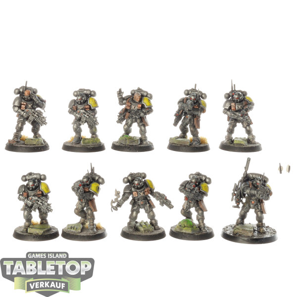 Space Marines - 10x Infiltrator Squad - bemalt