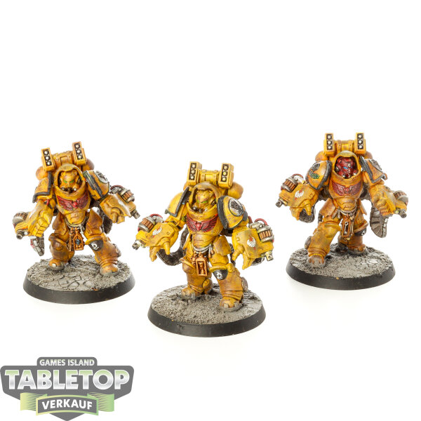 Imperial Fists - 3x Aggressor Squad - bemalt