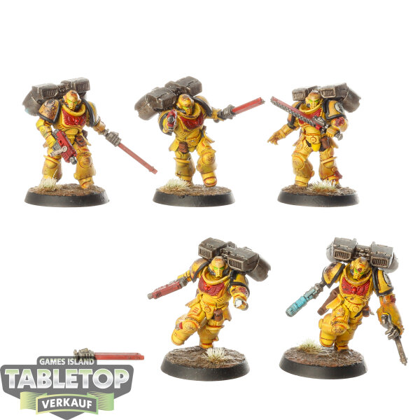 Imperial Fists - 5x Assault Intercessor Squad - bemalt