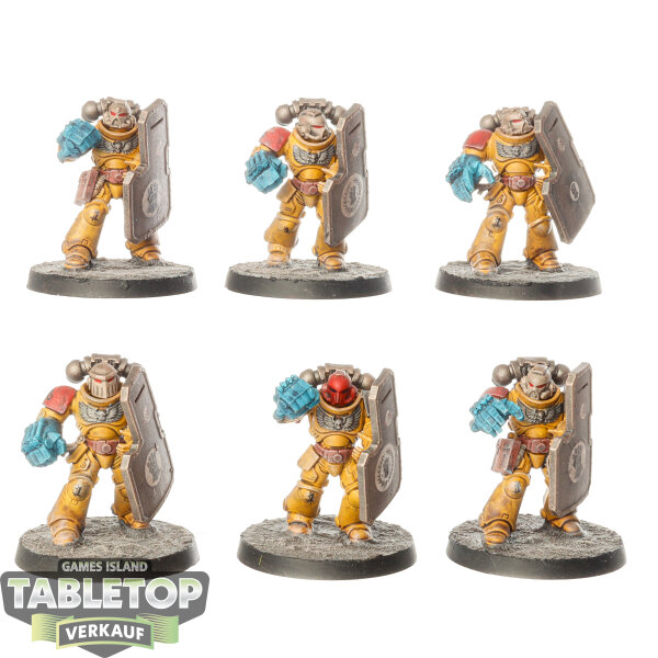 Imperial Fists - 6x Intercessor Squad - bemalt