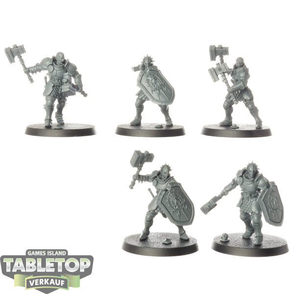 Stormcast Eternals - 5 x Liberators - unbemalt
