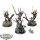 Sylvaneth - 3x Kurnoth Hunters - teilweise bemalt