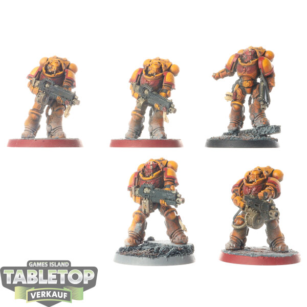 Space Marines - 5x Heavy Intercessor Squad - bemalt