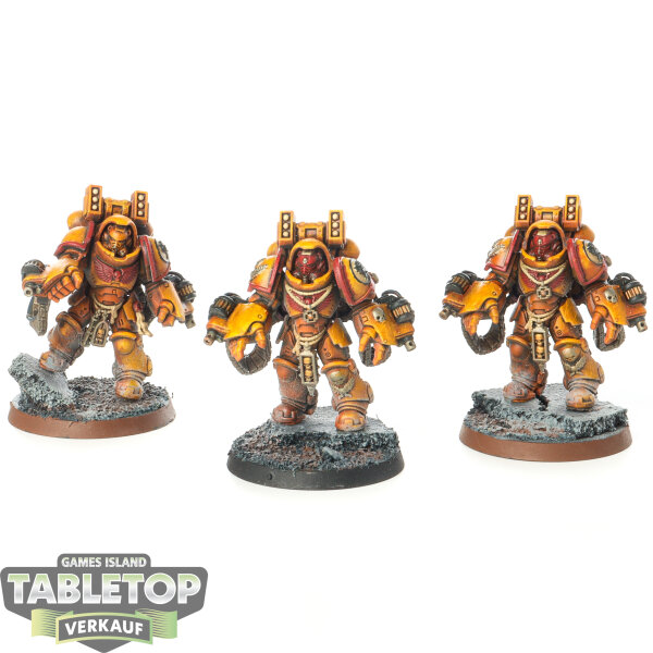 Imperial Fists - 3x Aggressor Squad - bemalt