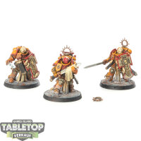 Space Marines - 3x Bladeguard Veteran Squad - bemalt