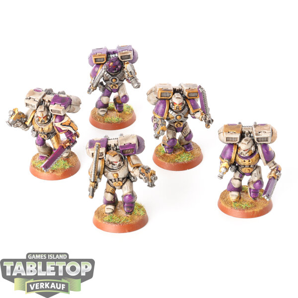 Space Marines - 5 Vanguard Veteran Squad - bemalt