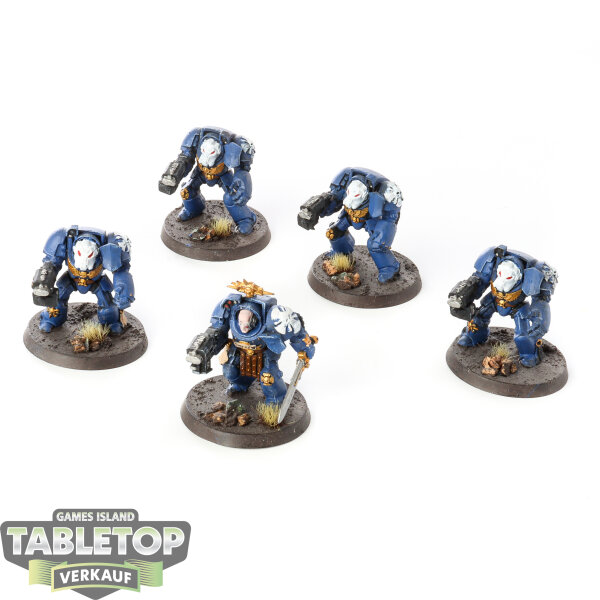 Space Marines - 5x Terminator Squad klassisch - bemalt