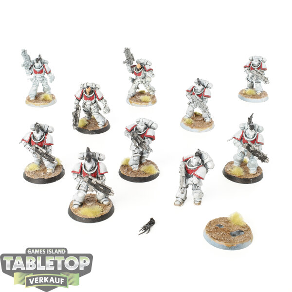 Space Marines - 10 Intercessor Squad - bemalt
