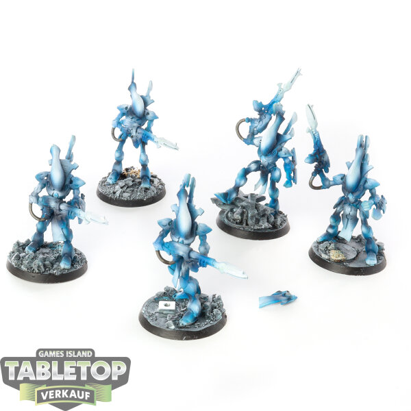 Aeldari - 5 Wraithguard - bemalt