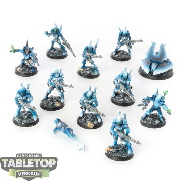 Aeldari - 10 Storm Guardians klassisch - teilweise bemalt