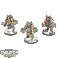 Space Wolves - 3 Aggressor Squad - bemalt