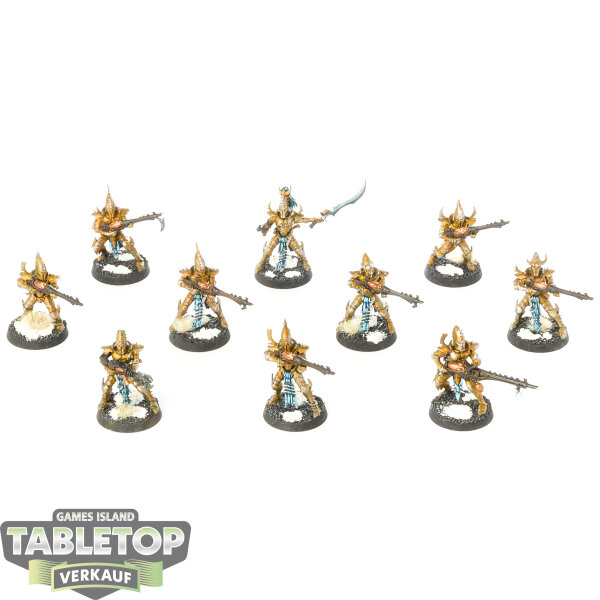 Drukhari - 10 Kabalite Warriors - bemalt