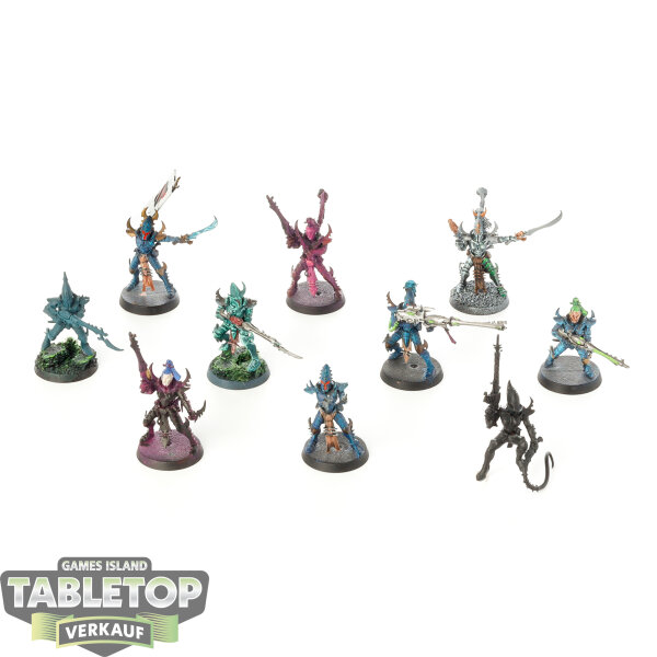 Drukhari - 10 Kabalite Warriors - teilweise bemalt