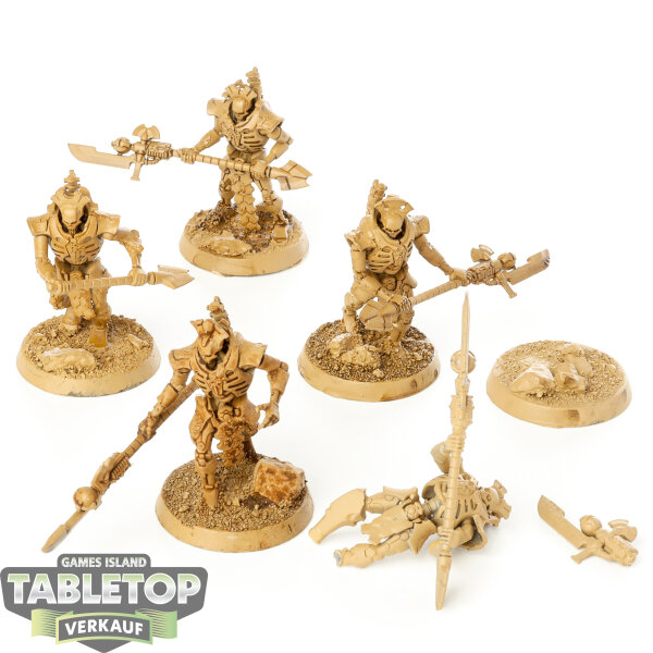 Necrons - 5 Lychguard - grundiert