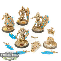 Necrons - 5 Lychguard - bemalt