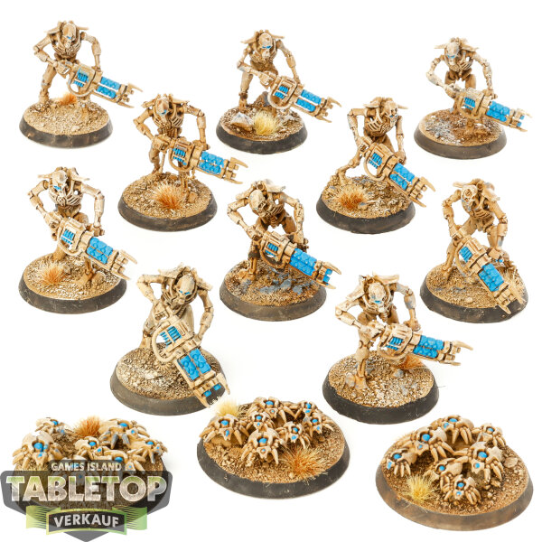 Necrons - 10 Necron Warriors - bemalt