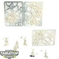 Lumineth Realm Lords - 5 Alarith Stoneguard - teilweise...