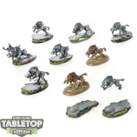 Soulblight Gravelords - 10x Dire Wolves klassisch -...