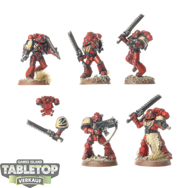 Space Marines - 5 x Assault Marines - bemalt