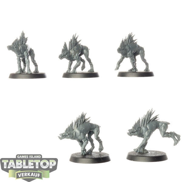 Tau Empire - 5 Kroot Hounds - unbemalt