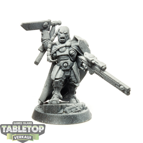 Tau Empire - Cadre Fireblade - teilweise bemalt