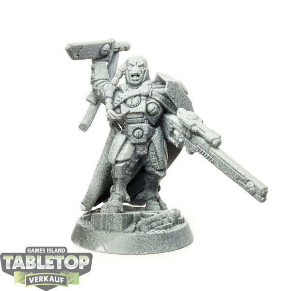 Tau Empire - Cadre Fireblade - teilweise bemalt