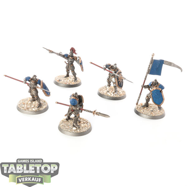 Stormcast Eternals - 5 Vindictors - bemalt