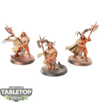 Stormcast Eternals - 3 Praetors - teilweise bemalt