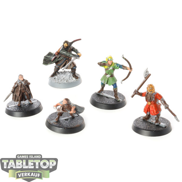 HdR Figuren - Gut - 5 Fellowship Of The Ring - bemalt