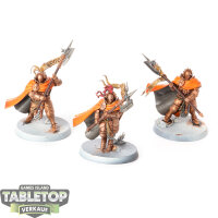 Stormcast Eternals - 3 Praetors - bemalt
