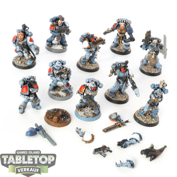 Space Wolves - 10 Blood Claws klassisch - bemalt