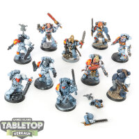 Space Wolves - 10 Blood Claws klassisch - bemalt