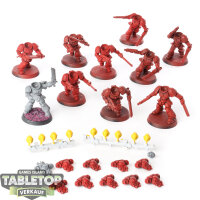 Blood Angels - 10 Assault Intercessor Squad - teilweise...