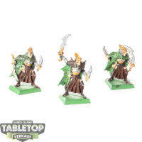 Dark Elves - 3 Black Ark Corsairs klassisch - bemalt