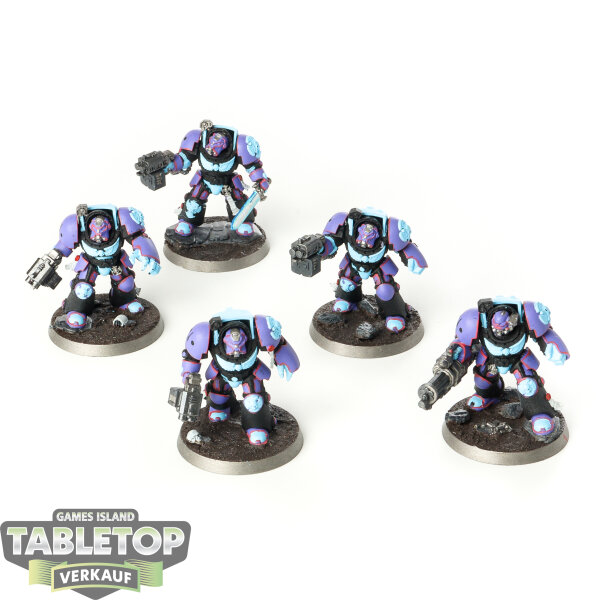 Space Marines - 5 Terminator Squad - bemalt