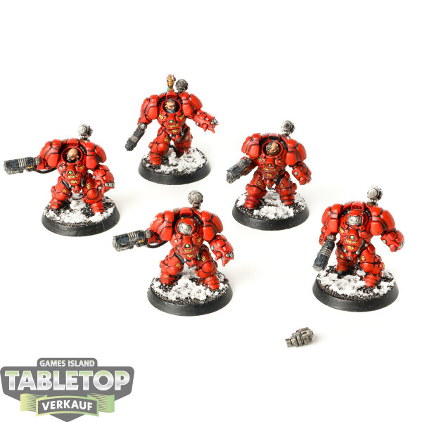Leagues of Votann - 5 Einhyr Hearthguard - bemalt