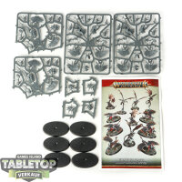 Slaves to Darkness - 6 Chaotic Beasts - im Gussrahmen