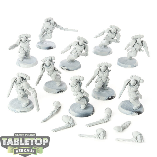 Space Marines - 10 Assault Intercessor Squad - grundiert