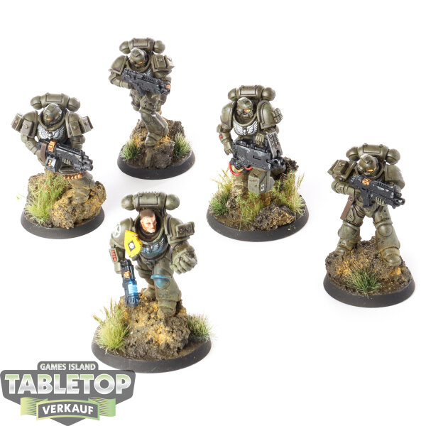 Space Marines - 5 Intercessor Squad - bemalt