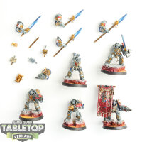 Grey Knights - 5 Grey Knights Paladins - bemalt