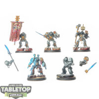 Grey Knights - 5 Grey Knights Paladins - bemalt