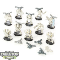 Death Guard - 10 Plague Marines klassisch - unbemalt