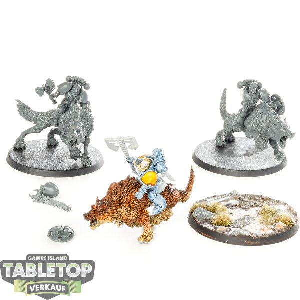 Space Wolves - 3 Thunderwolf Cavalry - teilweise bemalt