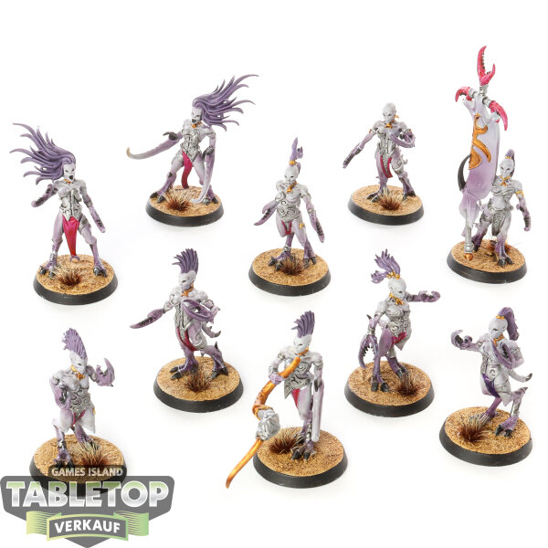 Hedonites of Slaanesh - 10 Daemonettes of Slaanesh - bemalt