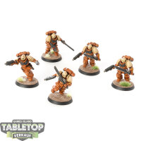 Space Marines - 5x Assault Intercessors - bemalt