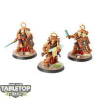 Space Marines - 3x Bladeguard Veteran Squad - bemalt
