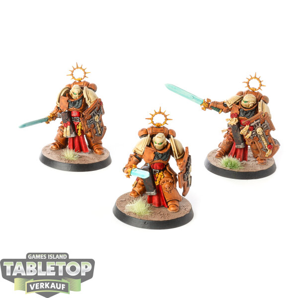 Space Marines - 3x Bladeguard Veteran Squad - bemalt