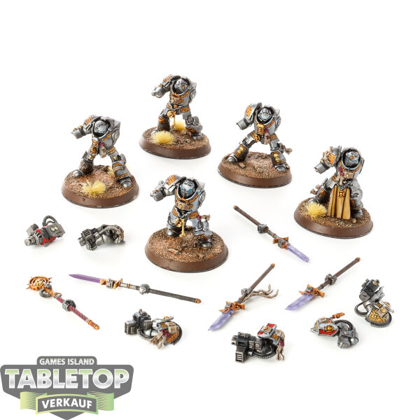 Grey Knights - 5 Grey Knights Brotherhood Terminator Squad - bemalt
