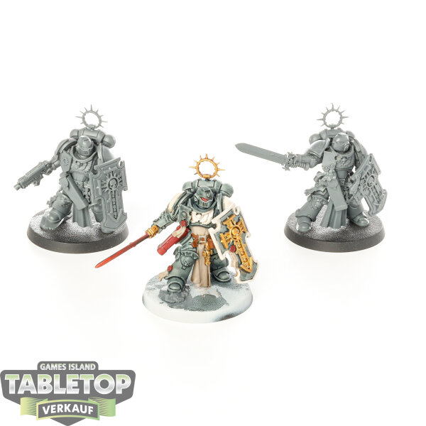 Space Marines - 3 Bladeguard Veteran - teilweise bemalt